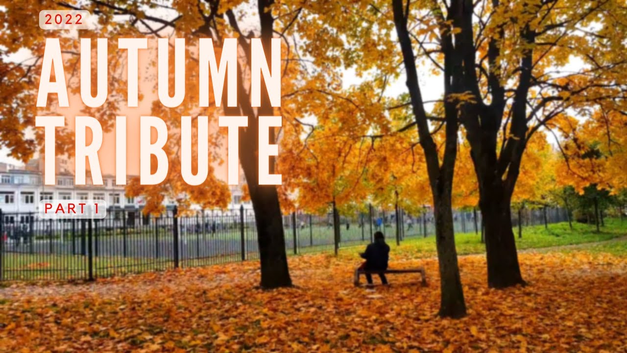 Autumn Tribute 2022 – Part 1 | Fall Colors in St. Petersburg, Russia