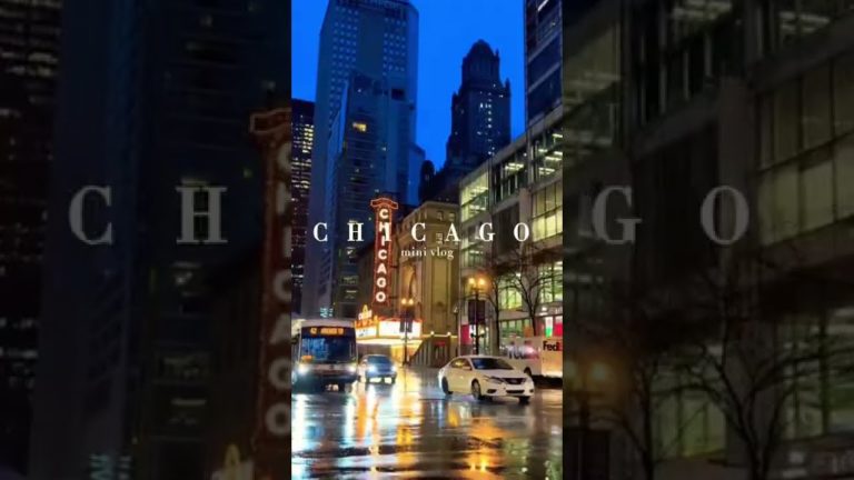 a chicago mini vlog day in my life as a tourist