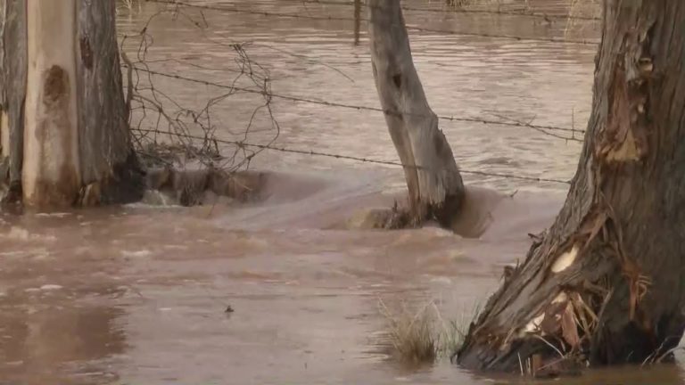 San Ysidro residents protect homes from Jemez flooding