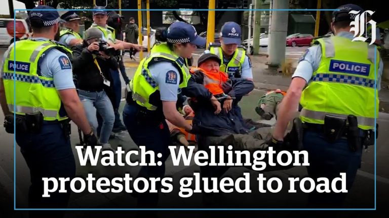 Watch: Protesters glued to Wellington Road | nzherald.co.nz