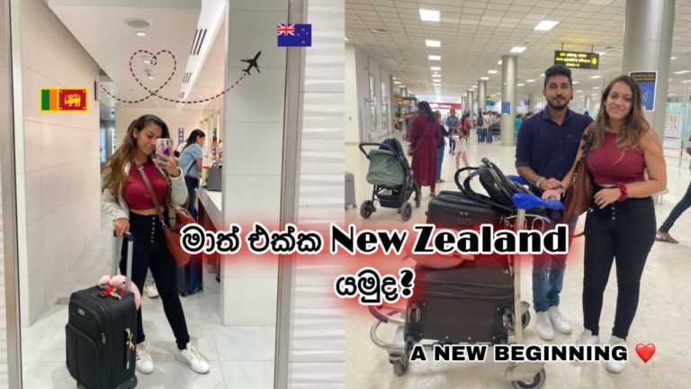 මාත් එක්ක New Zealand යමුද? | International Student | Life With KC