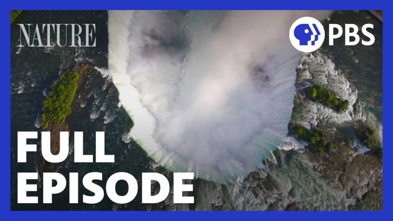 Niagara Falls | Full Episode | NATURE | PBS