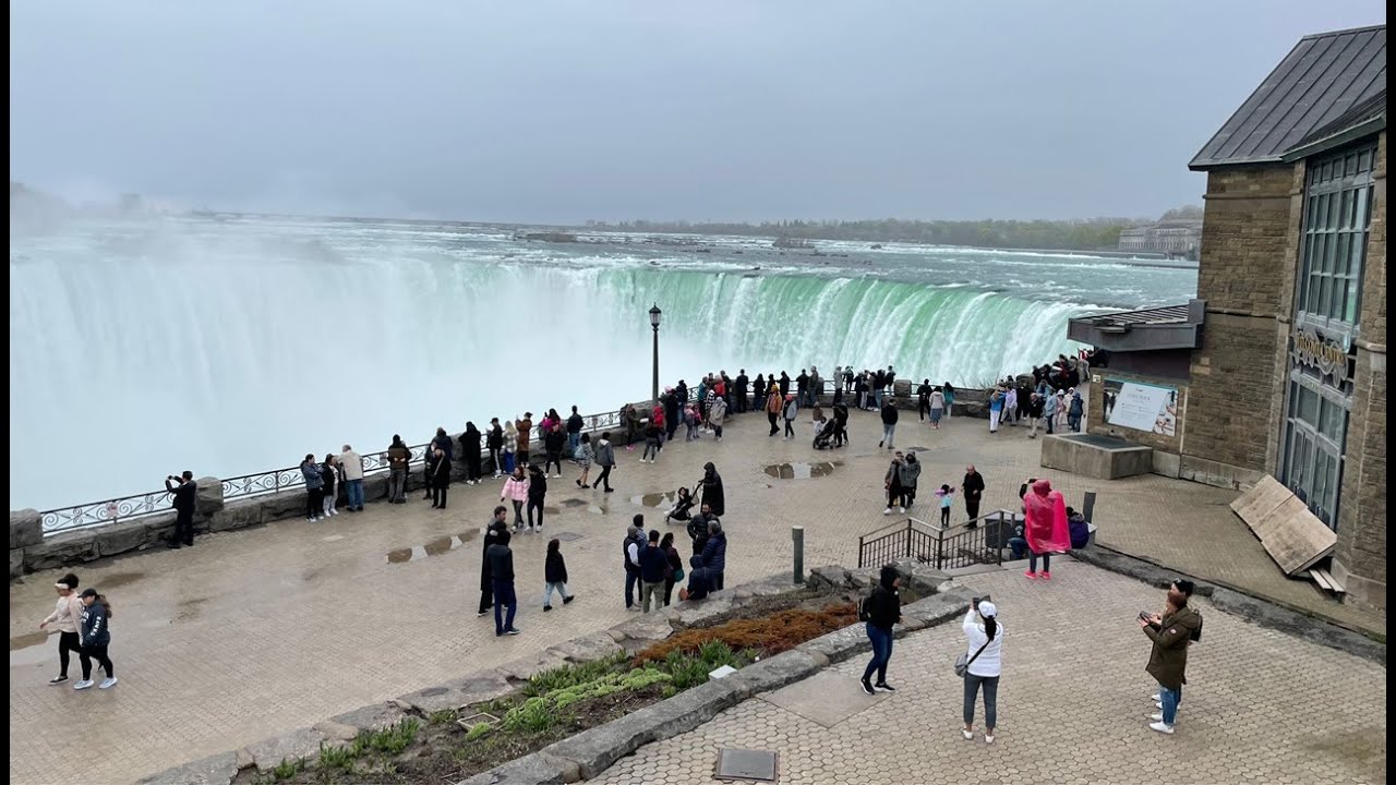 Live Stream from Niagara Falls walk to Magnolia Alley and Magnolia Blossoms