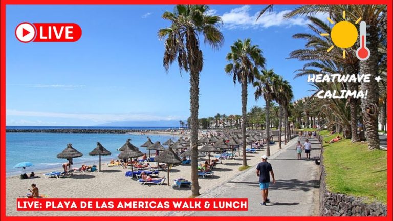 🔴 TENERIFE HEATWAVE- Las Americas Walk & Lunch! ☀️ Canary Islands!