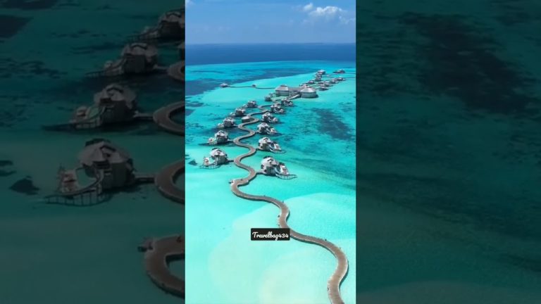 Maldives #maldives #travel #shortvideo #trending ##shorts