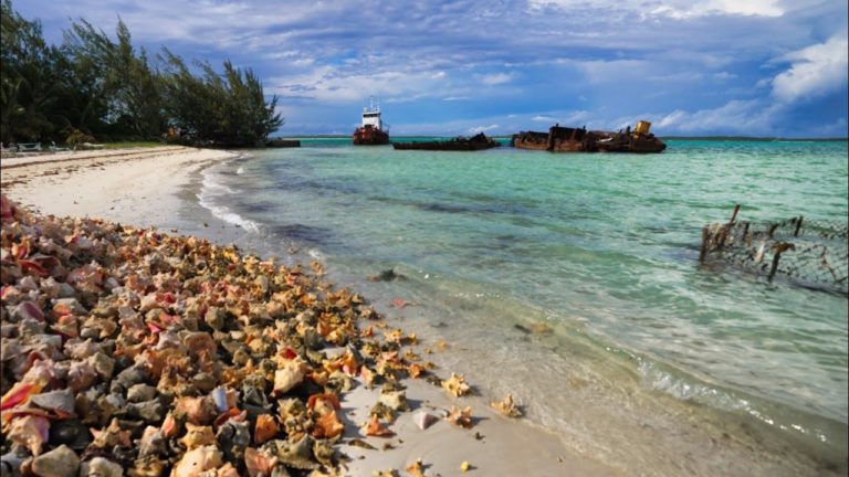 We found the motherlode ! Paradise in the Exumas (Bahamas Series)