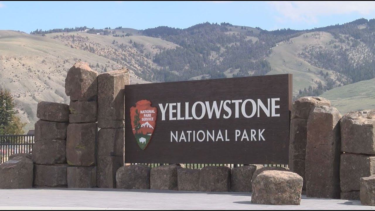 Yellowstone visitors put baby elk in car