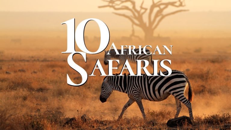 African Safari 2023 | 10 Best Destinations to Visit