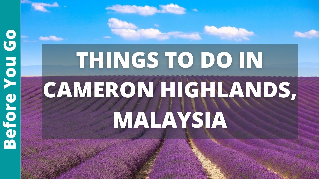 Cameron Highlands Malaysia Travel Guide: 13 Best Things to Do in Cameron Highlands