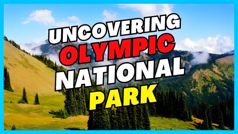 What Are The TOP Things To Do In Olympic National Park : WHAT YOU DIDN’T KNOW #olympicnationalpark