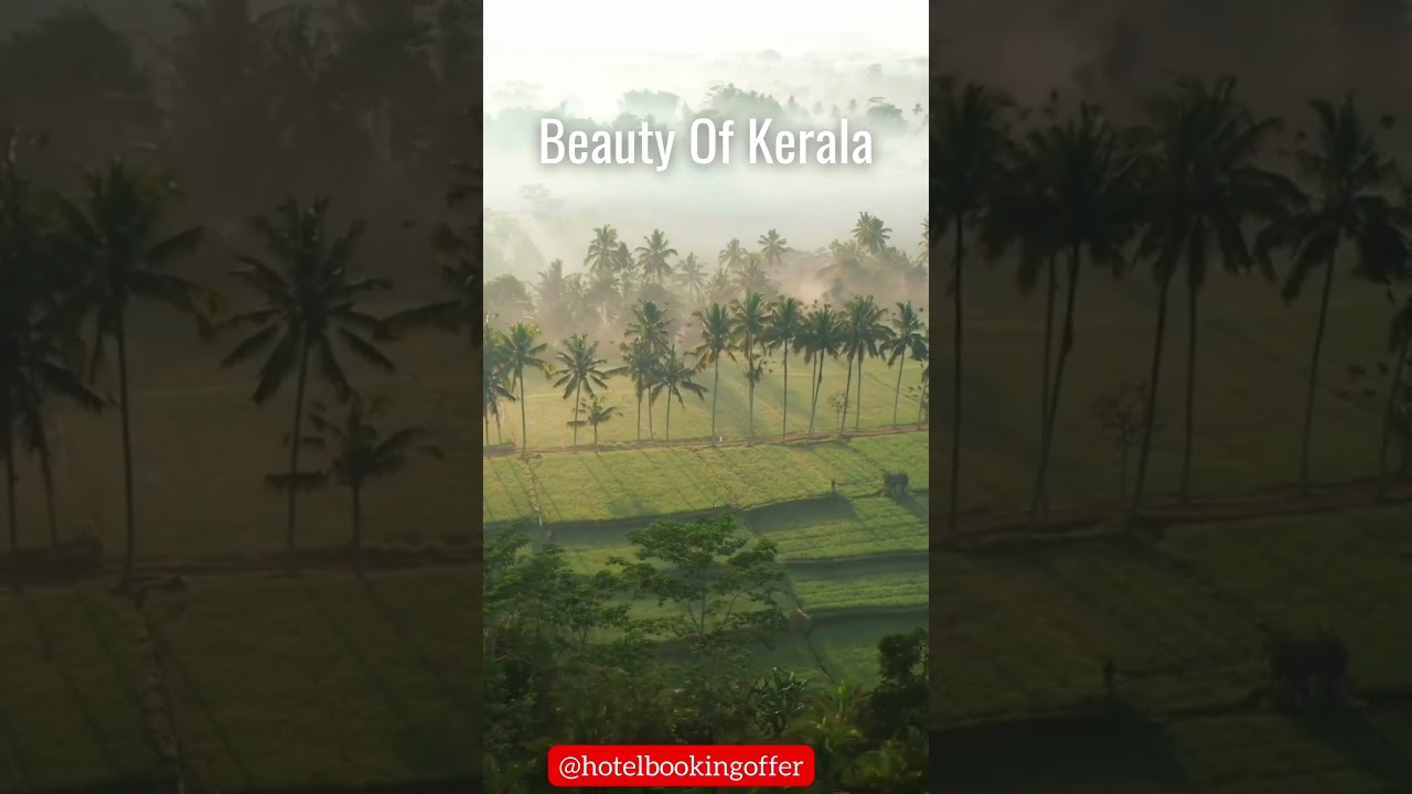 Unveiling Kerala Beauty: The Hidden Gems You Must See! #shorts #kerala #trending #ytshorts