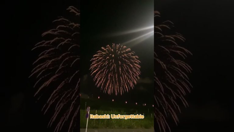 8/5 itabashi fireworks!（板橋花火大会） #shorts