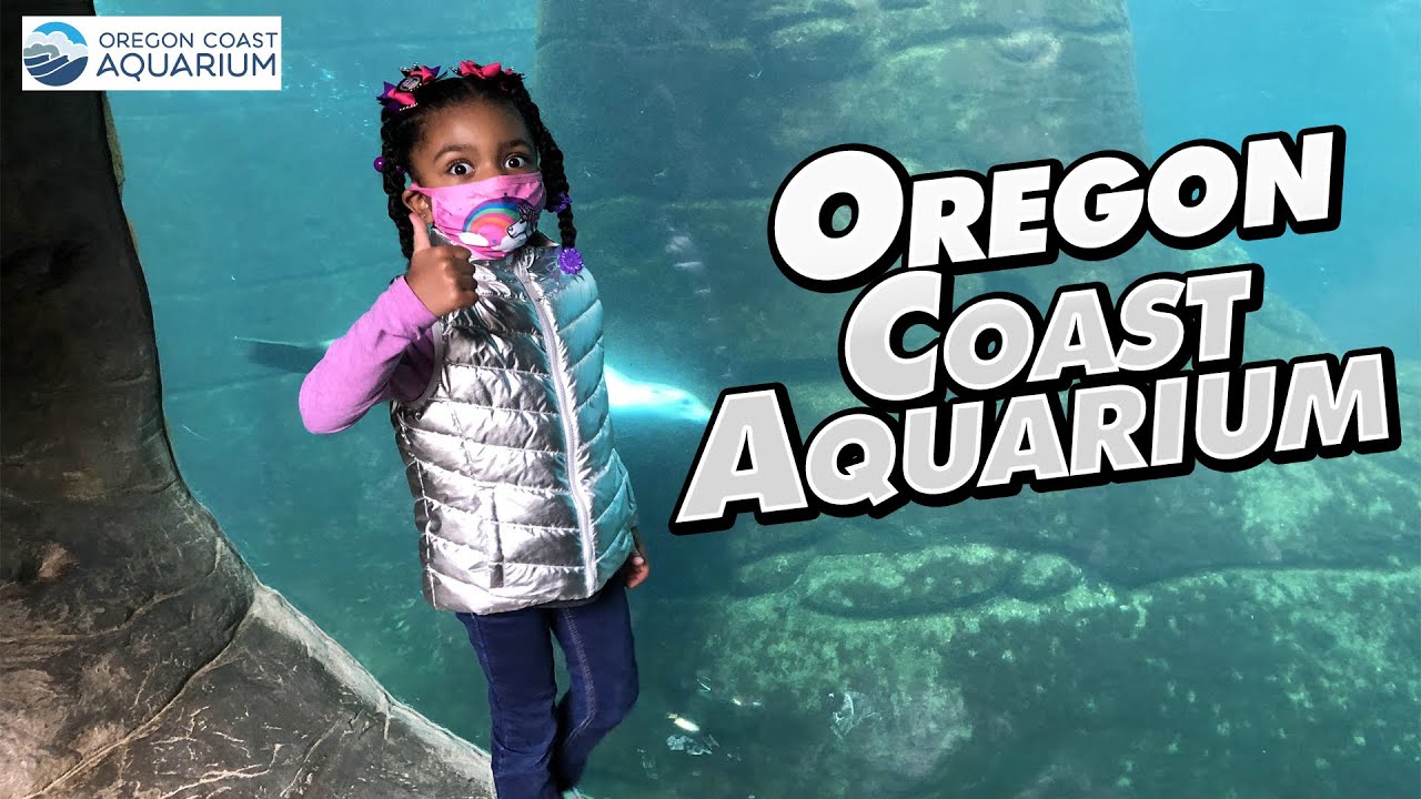 Kieran Renee visits The Oregon Coast Aquarium