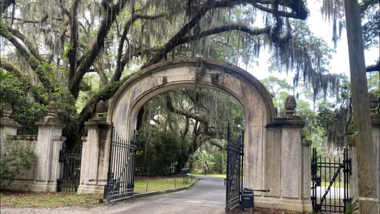 Discover the Retro Charm of Wormsloe Plantation💎 #savannah