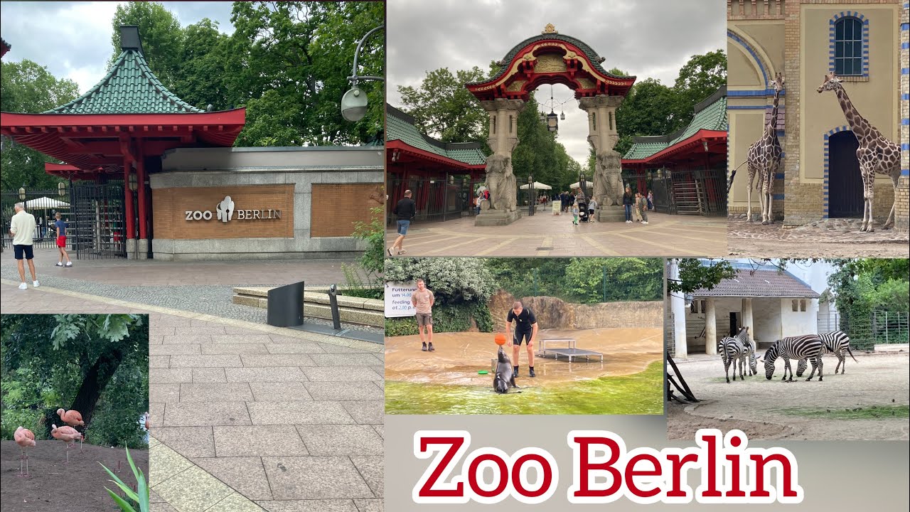 Zoo Berlin | Part I | Germany | Animals | Reptiles | #berlin #germany  #zoo  #zooberlin  |  Vid 16