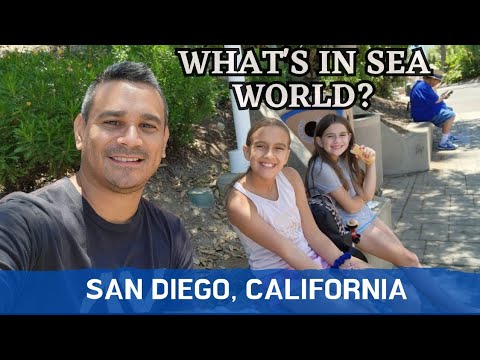 SEAWORLD SAN DIEGO FULL TOUR Attractions Guide | Day 1 San Diego Vlog