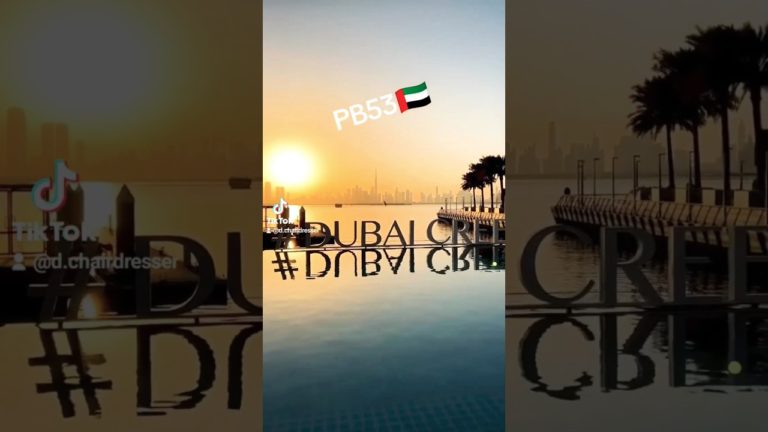 dubai🇦🇪😱😱😲😲😍😍#shortvideo #viralvideo #shorts #short