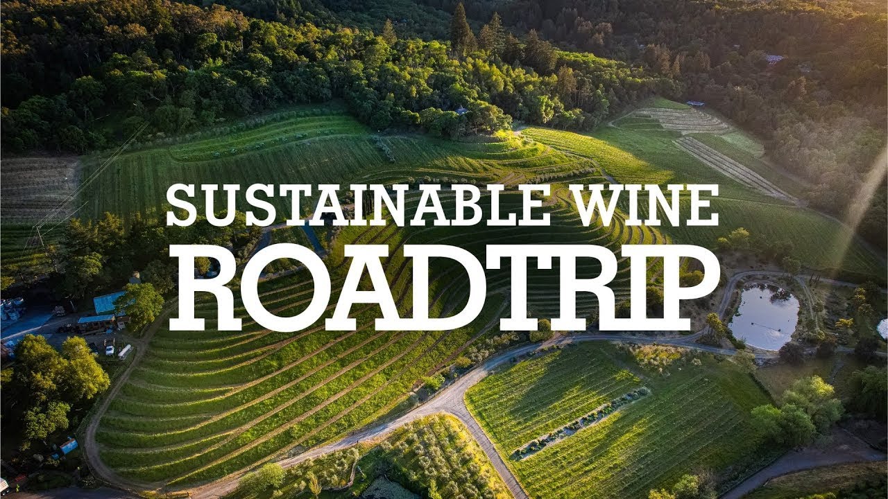 Weekend Road Trip to Find Some of the Best California Sustainable Wine