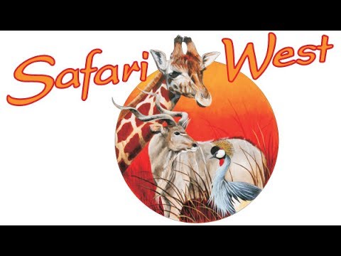 Safari West – A Kid’s Cabin Tour And Review – Santa Rosa, CA