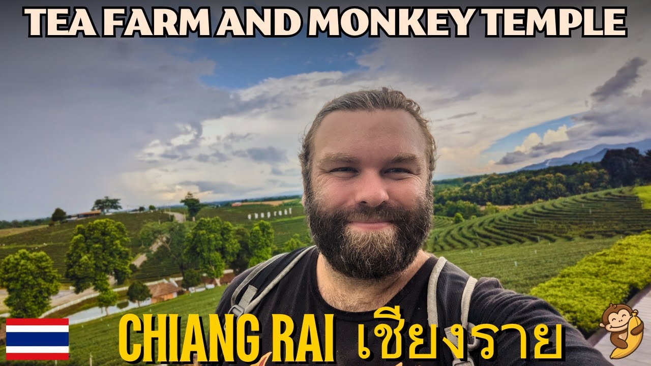 Tea Farm And Monkey Temple – Chiang Mai  🇹🇭