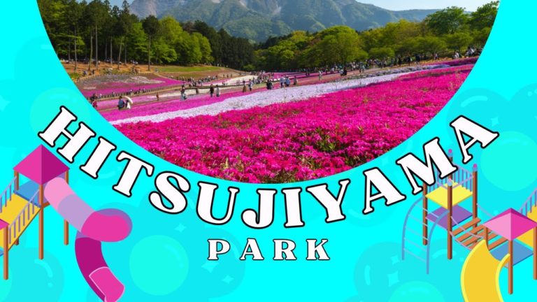 10 Best things to do when visiting Hitsujiyama Park Japan