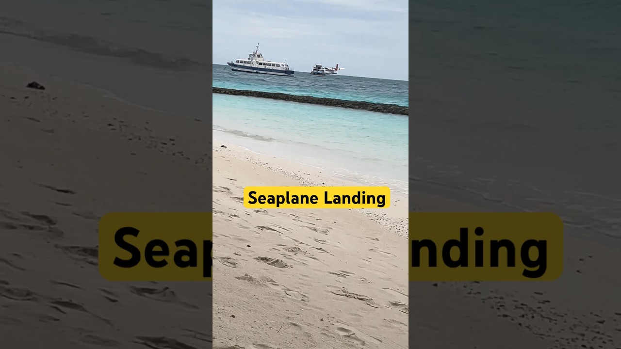 Seaplane Landing Maldives #travel #shorts #maldives