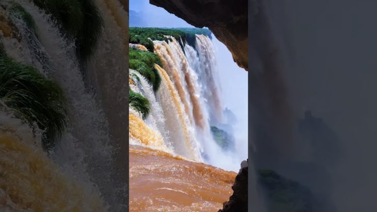 Iguazu Falls #Scenery #Tourism #shorts