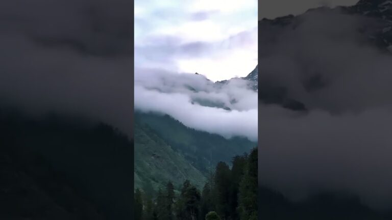 Fresh Snowfall #travel #travelvlog #jaishreeram #shortvideo #shorts #viral #trending #tiktok #video