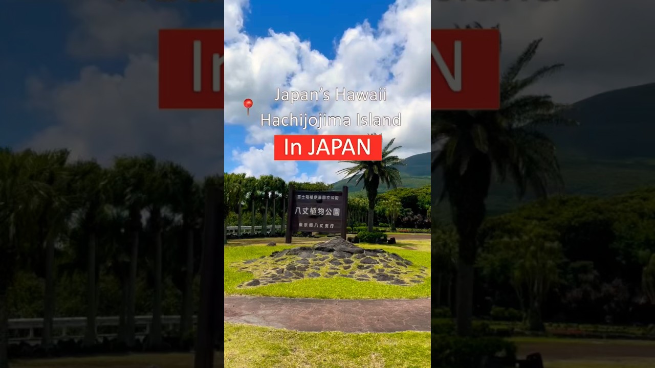 Tokyo’s Hidden Pacific Island | HACHIJOJIMA Island🇯🇵Japan’s Hawaii  #shorts #Japan #Hachijojima