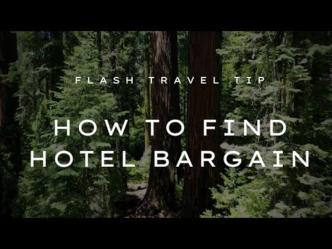 Flash Travel Tip: 7 Things Do To Get A FREE or CHEAP Hotel Bargain. Guaranteed!! EP2