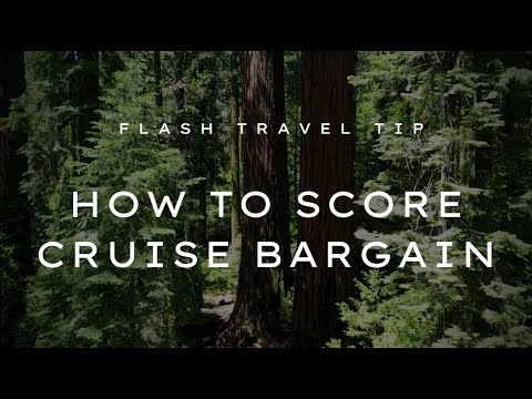 Flash Travel Tip: 7 Things To Do To Get A FREE or CHEAP Cruise Bargain. Guaranteed!! EP3